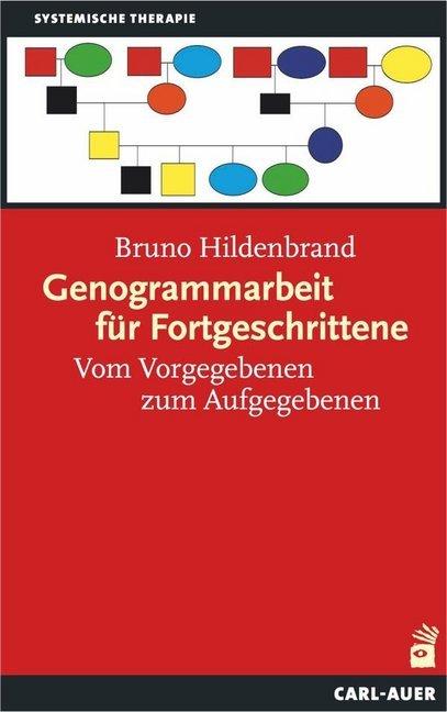 Energie-Label Genogrammarbeit für Fortgeschrittene (Deutsch, Bruno Hildenbrand, 2018)