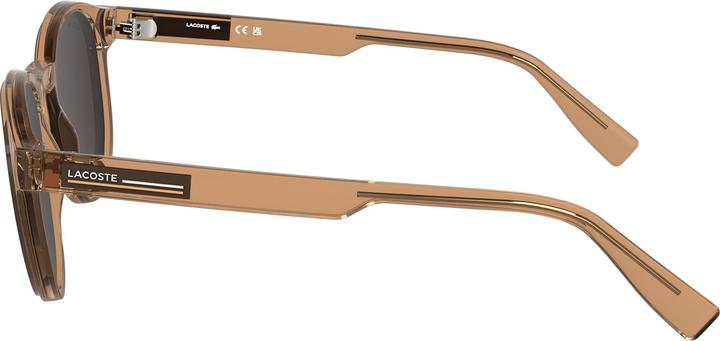 Image du produit Lacoste L6055S Brique Transparente