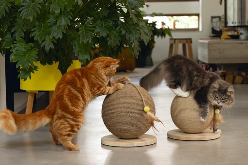 Productafbeelding Designed by Lotte Krabbelbal Balty (31.50 cm, Natuur)