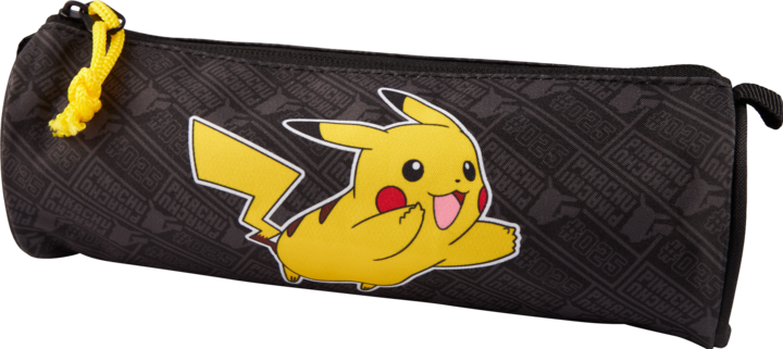 Actual product image Pokémon Pokemon Case