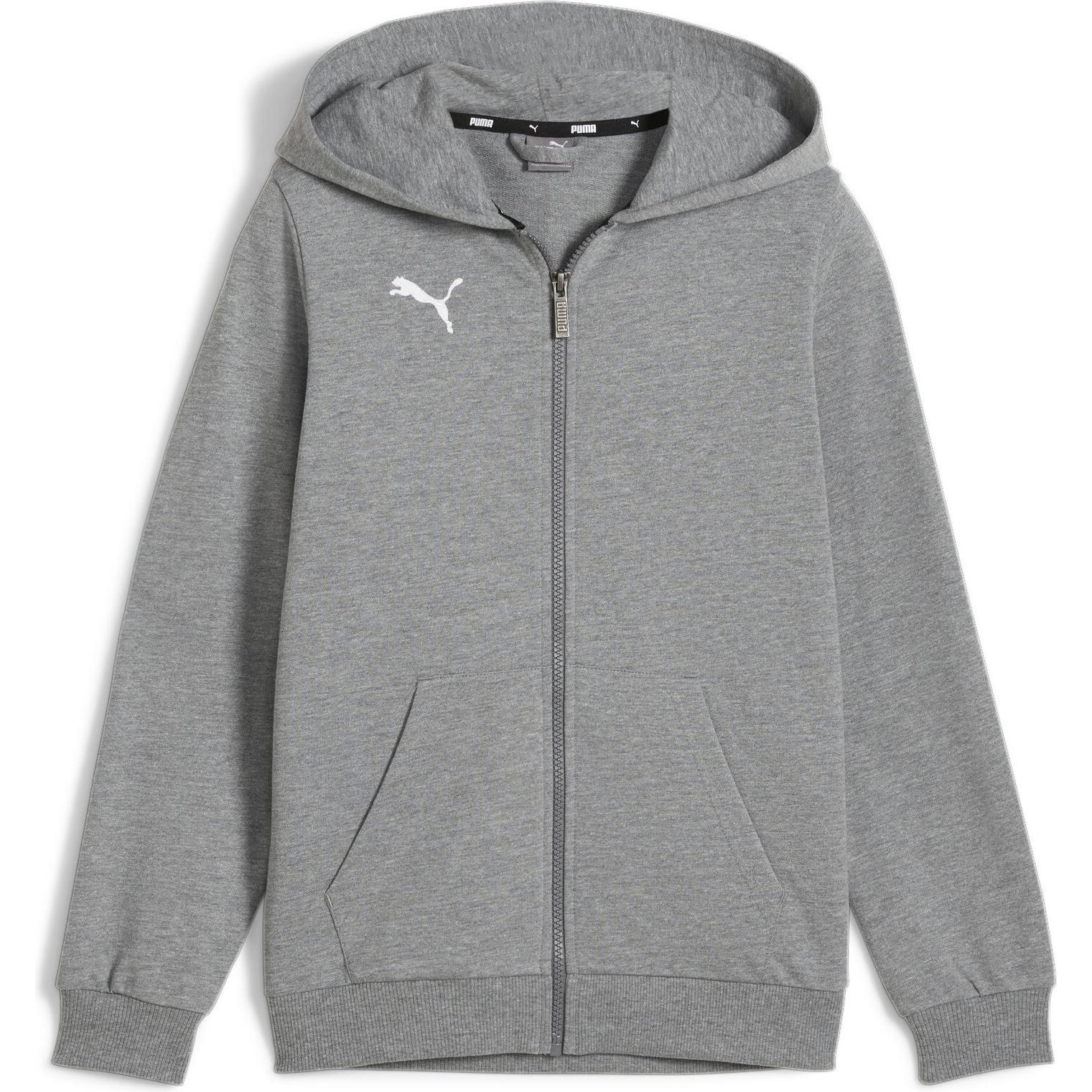 Puma, Jungen, Pullover, teamGOAL Casuals Hooded Jacket Jr, Grau, (152)