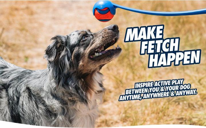 Image du produit Chuckit! SPORT 25 M Lanceur de balles pour chiens 64 cm Bleu (Jouet à balle chien)