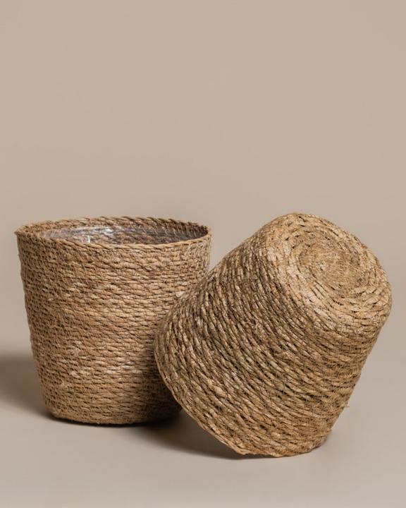 Actual product image feey Kesat (16 cm)