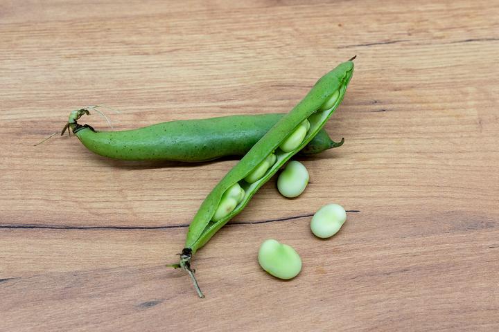 Actual product image Zollinger Bio Broad bean, Eleonora