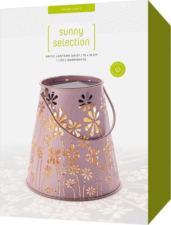 Image du produit STT Antic Daisy