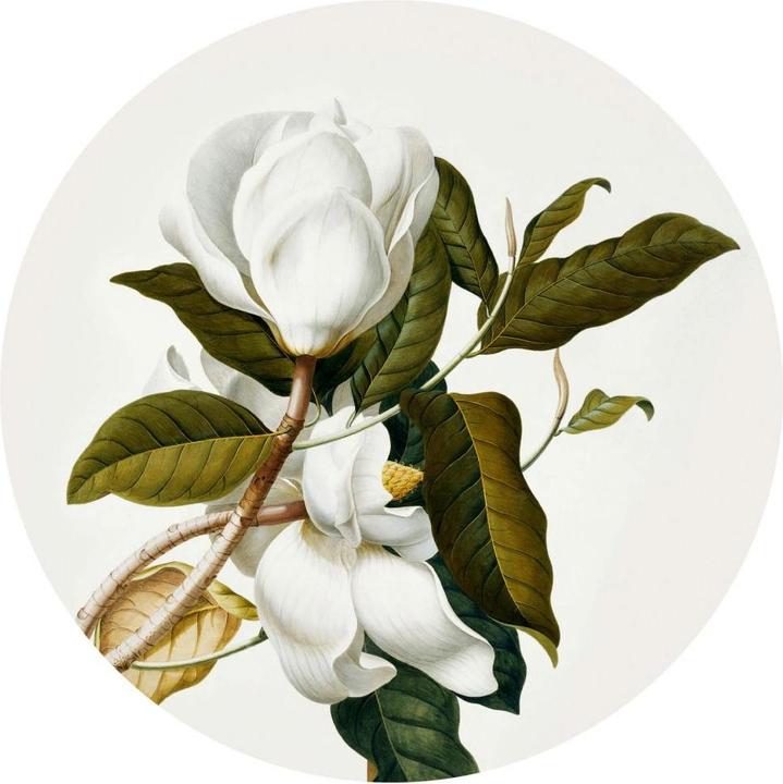 Image du produit Trenddeko Magnolia - rond (Ø 50 cm)