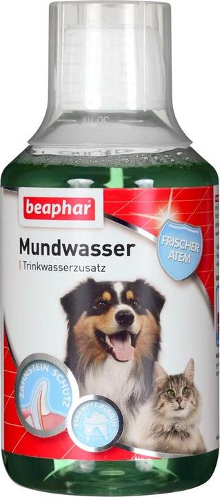 beaphar Cura della bocca e dei denti per cani e gatti 250 ml (Cane, Gatto, 250 ml)