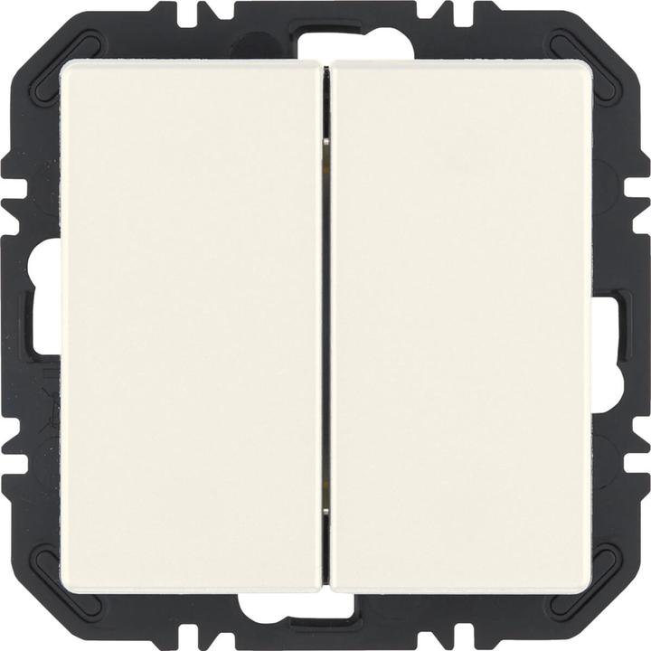 blanc polaire velours.