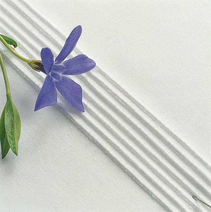 Produktbild Husqvarna Biesenfuss mit 7 Rillen