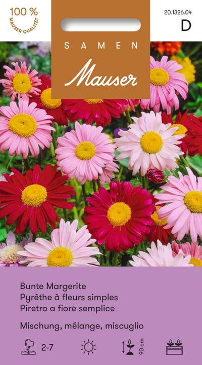 Samen Mauser Bunte Margerite (Pflanzensamen)