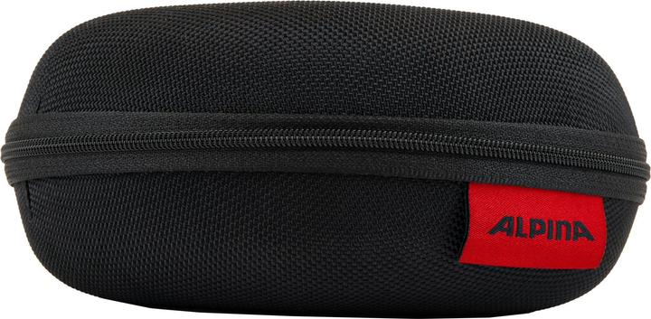 Produktbild Alpina Case Large Brillenetui