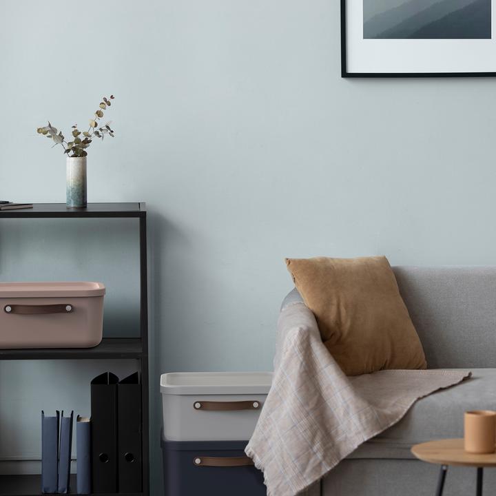 Actual product image Rotho Aufbewahrungsbox 25 l MALOJA (25 l)