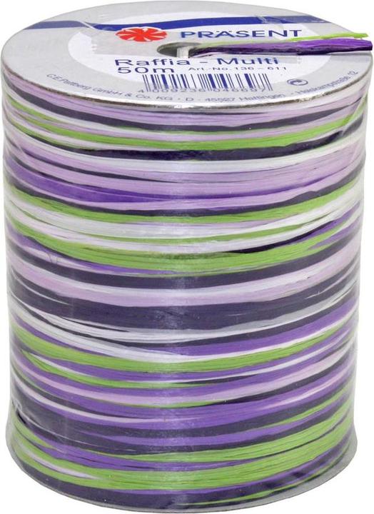 Produktbild Präsent Raffia-Multi (Geschenkband, 1 x)