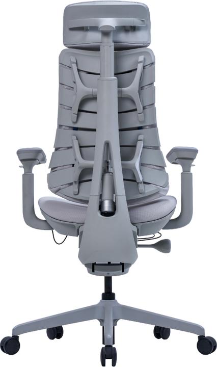 Actual product image LiberNovo Omni Dynamic (48 cm)