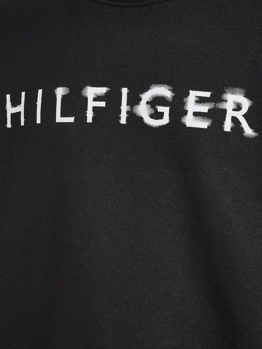 Produktbild Tommy Hilfiger Felpa con Cappuccio Hilfiger Inkt (L)