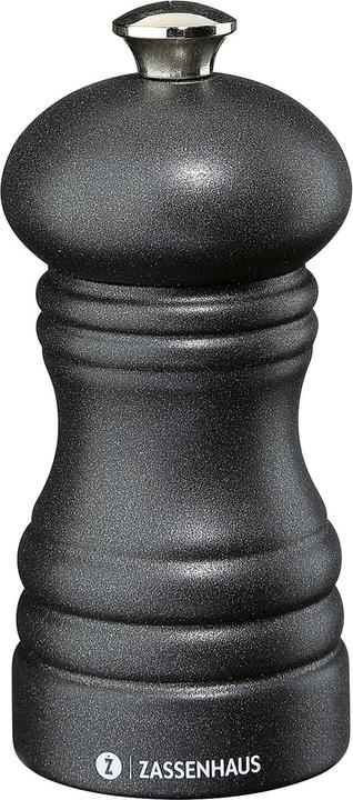 Actual product image Zassenhaus Salt Mill Berlin (Salt)