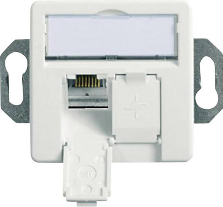 Actual product image Telegärtner AMJ45 network wall outlet RJ-45 (W) shielded CAT 6 Alpine White 1 piece