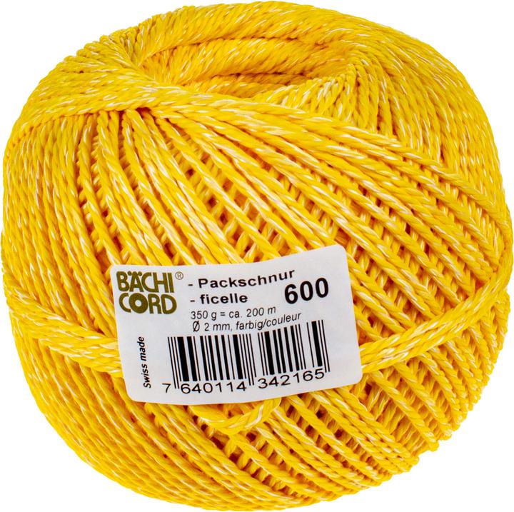 Actual product image Bächi-Cord BC packing cord no.600m (assorted) (1 pcs.)
