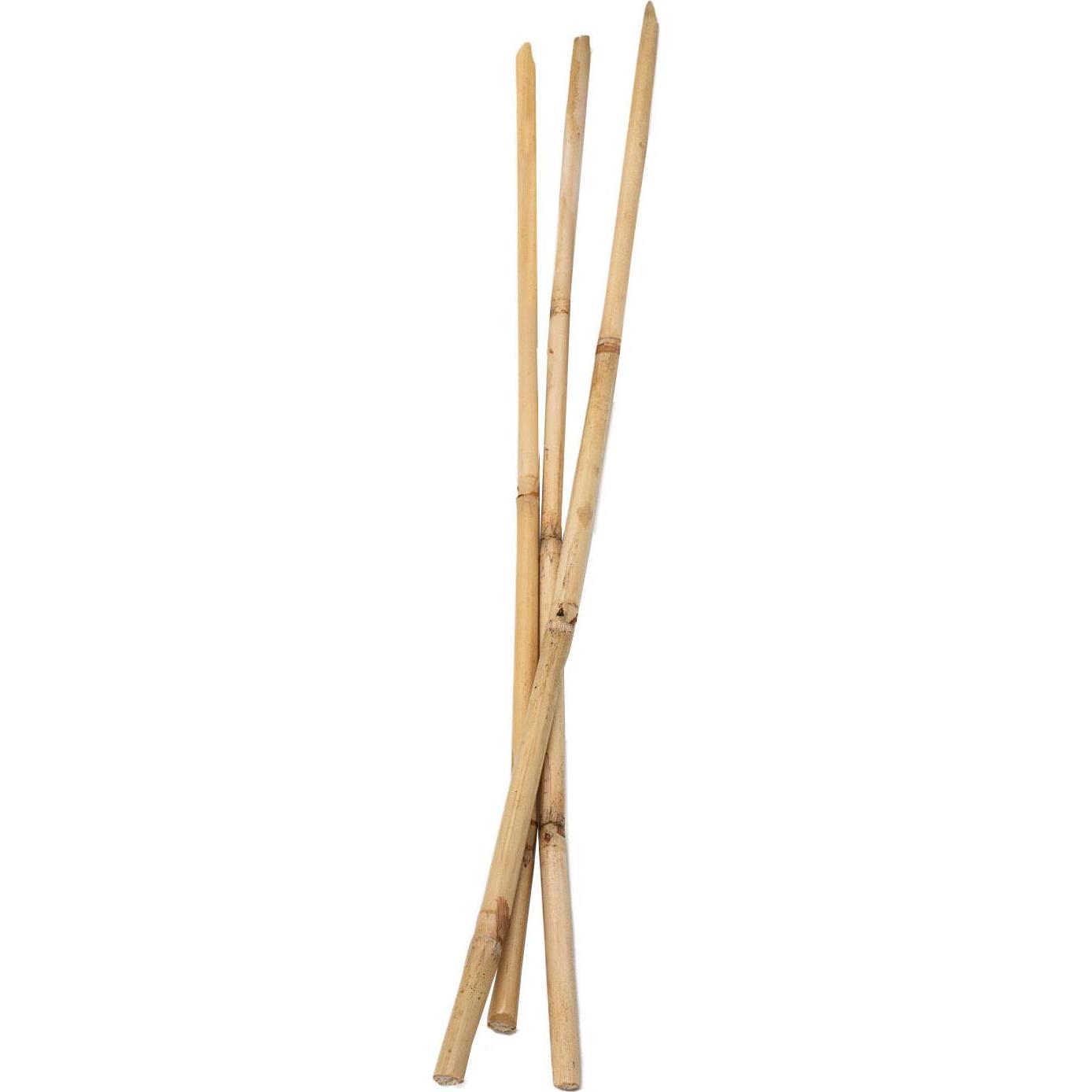 Colorations Bastoncini Di Bambù