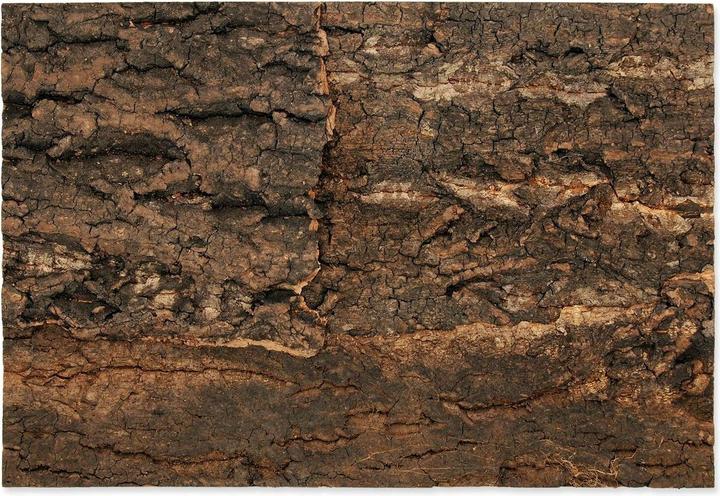 Repti Planet Cork back wall 28.5 x 41 x 2 cm