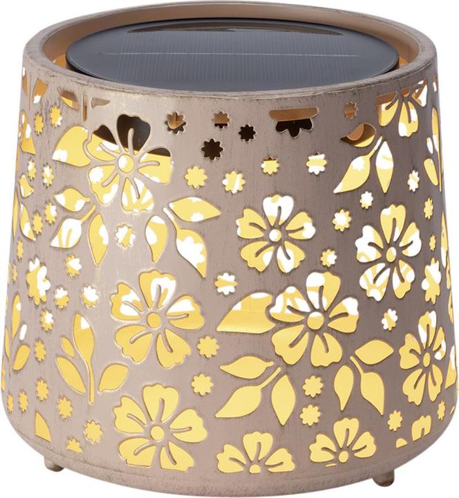 STT Solar Light (1 x)