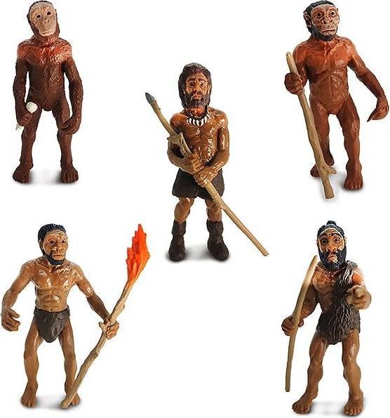 Produktbild Safari Evolution des Menschen