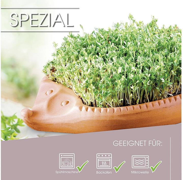 Productafbeelding Römertopf Tuinkers egel