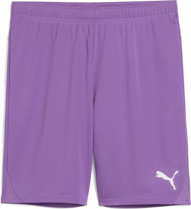 Actual product image Puma teamGOAL shorts (3XL)