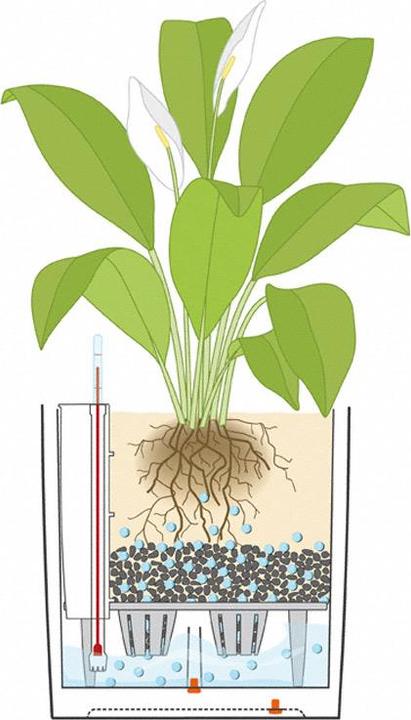 Produktbild Lechuza Cube (49 x 49 x 49.50 cm)