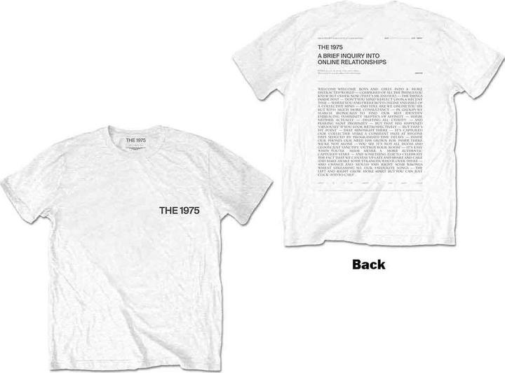 The 1975 A Brief Inquiry