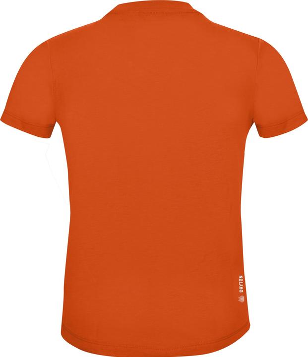 Actual product image Salewa Graphic Dry S/S (116)