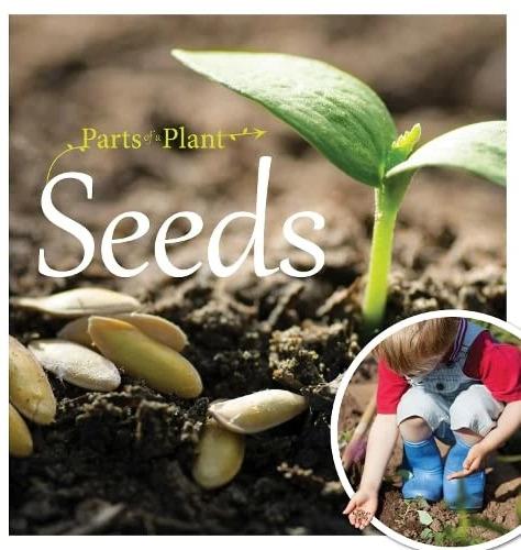 Actual product image Seeds (English, Gemma McMullen, 2022)