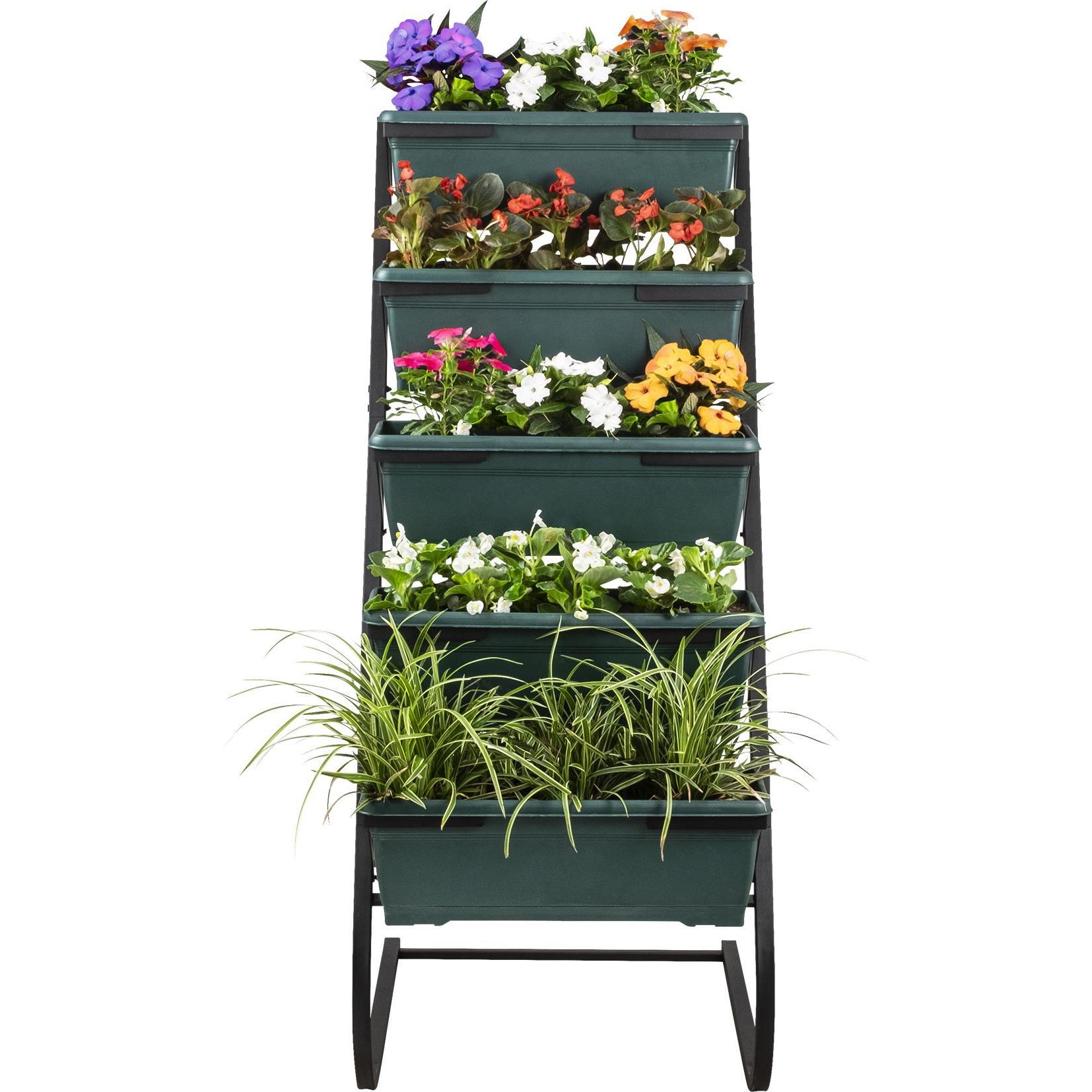 Thumbnail - Homitis, Deko Objekt, Moritz