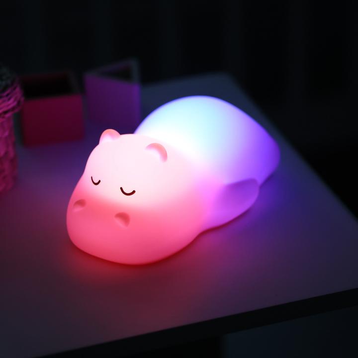 Image du produit Nattou Hippo