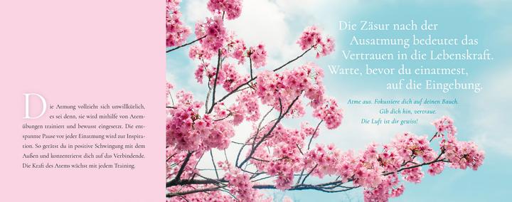 Image du produit Meine Momente zum Durchatmen (Allemand, Anjali Sriram, R. Sriram, 2021)