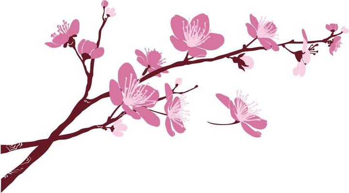 Actual product image Trenddeko Cherry blossoms 03 (180 x 99 cm)