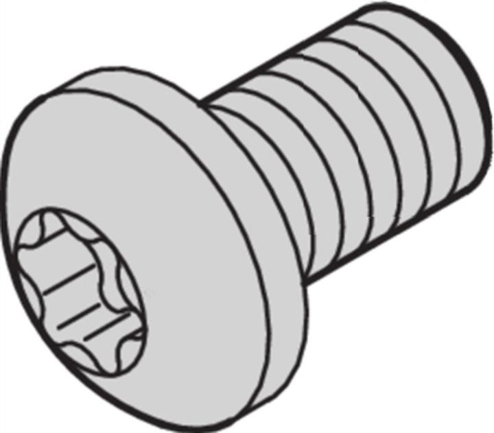 Actual product image Schroff Torx pan head screw - LIKOSHR M4X6 PENTORX (100pcs)