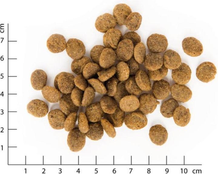 Produktbild Vegdog Green Crunch (Adult, 1 Stk., 2000 g)