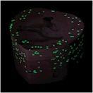 Actual product image Trousselier Dancer Rosa