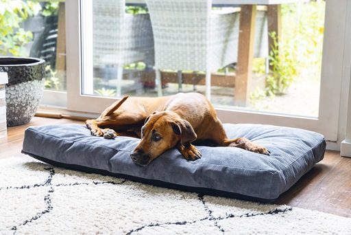 Immagine prodotto Beeztees Cuscino ortopedico per divano Veo (Cane)