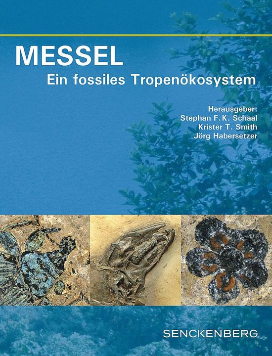 Immagine prodotto MESSEL - Ein fossiles Tropenökosystem (Tedesco, Krister T. Smith, Jörg Habersetzer, Stephan F. K. Schaal, 2018)