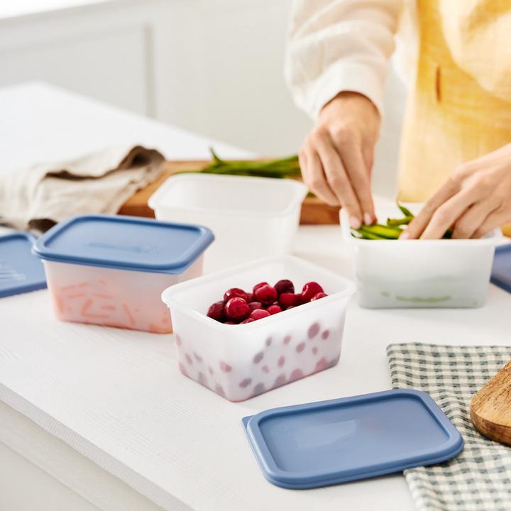 Actual product image Rotho Domino (0.75 l)