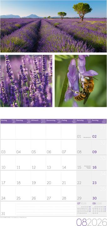 Image du produit Colours of Nature Kalender 2026 - 30x30 (30 x 30 cm, Couverture rigide, Français, Anglais, Italien)