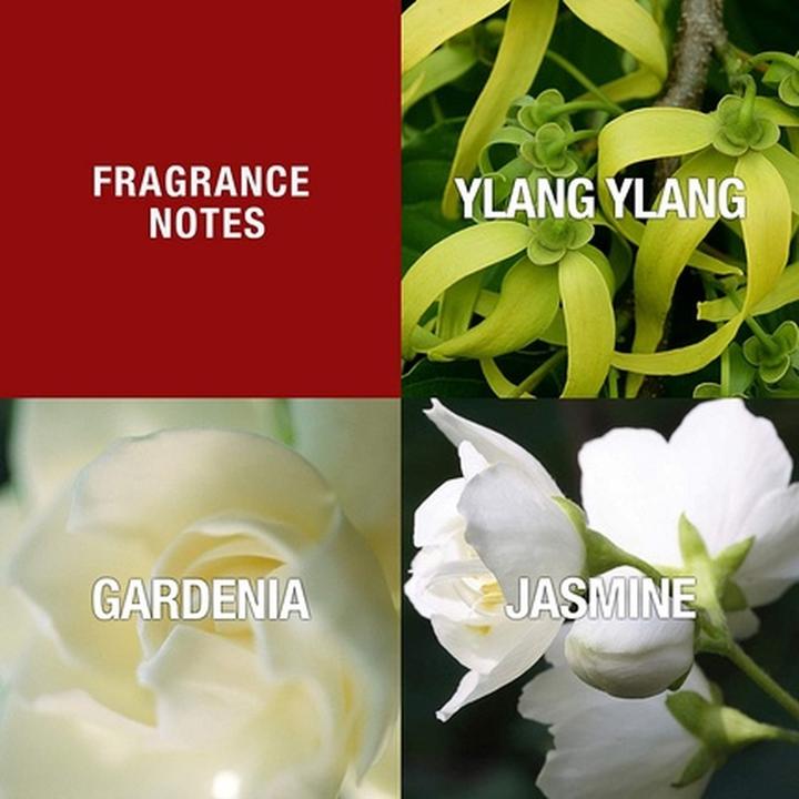 Actual product image Paul Sebastian PS Design Fine Perfume (Eau de parfum, 100 ml)