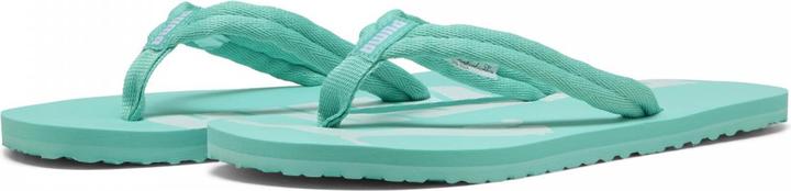 Produktbild Puma Epic Flip-Flop (40.5)