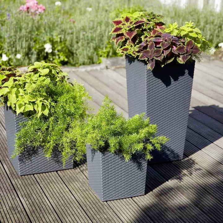 Produktbild Siena Garden Modern (40 cm)