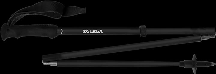 Actual product image Salewa Pedroc Carbonium (115 - 140 cm)