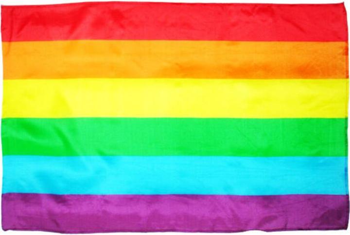 - Lgbt Medium Flag