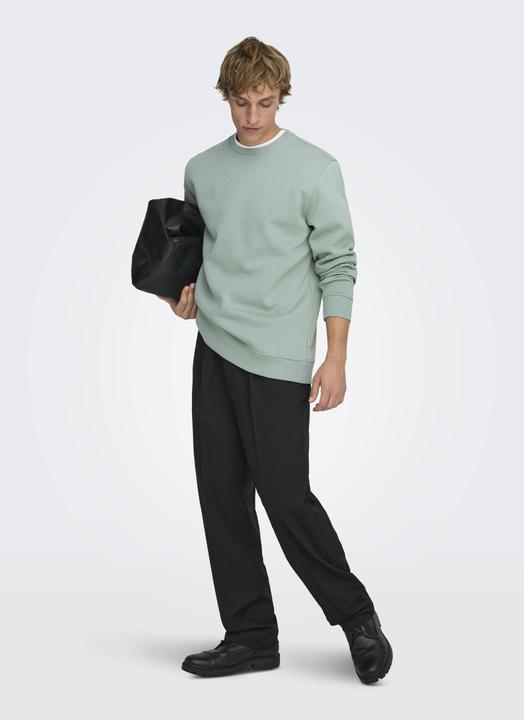 Produktbild Only & Sons Onsconnor Life Reg Crew Neck Sweat Noos (M)