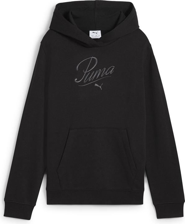 Produktbild Puma ESS SCRIPT Hoodie TR G (176)